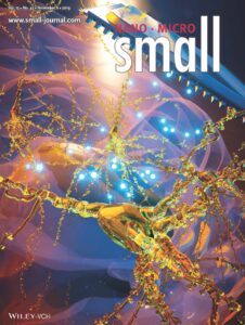 Cover Zilony-Hanin et al 2019 Small